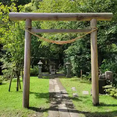 猫神社の鳥居