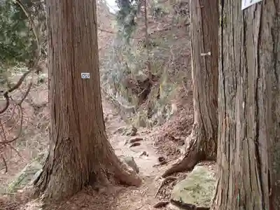 武蔵御嶽神社奥の院の自然