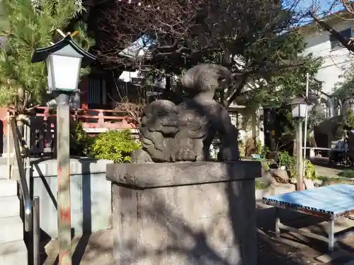 千住本氷川神社の狛犬