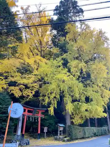 岩戸落葉神社の鳥居