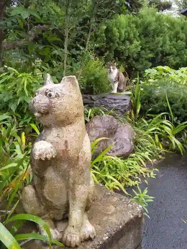 御誕生寺（猫寺）の狛犬