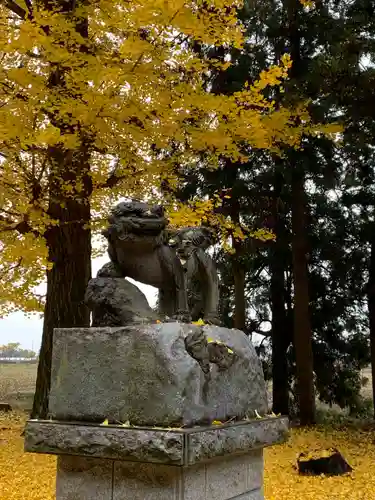 桜町二宮神社の狛犬