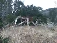 梅内神社の自然