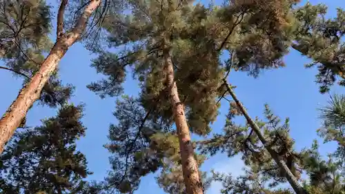 今宮神社の自然