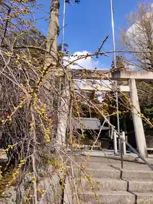 春日神社の鳥居