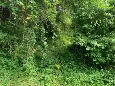 稲荷神社の周辺