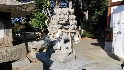 金刀比羅神社の狛犬