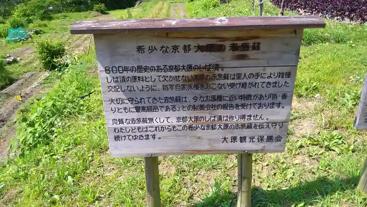 寂光院(京都府)