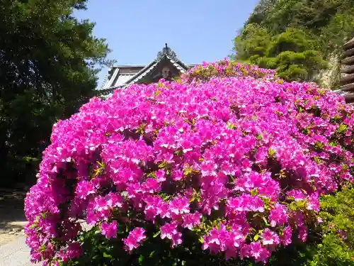 安養院　(田代寺）の庭園