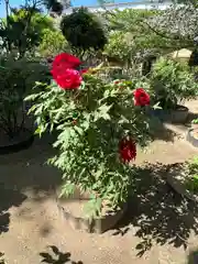 長壁神社の庭園