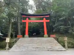 宇佐神宮の鳥居