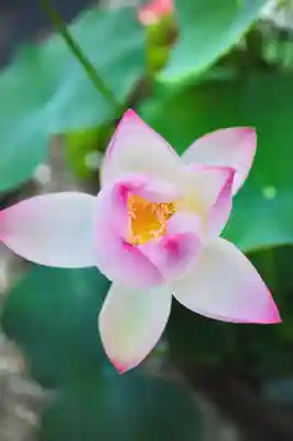 浄土寺(兵庫県)