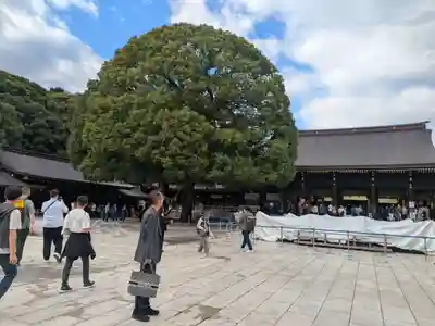 明治神宮(東京都)