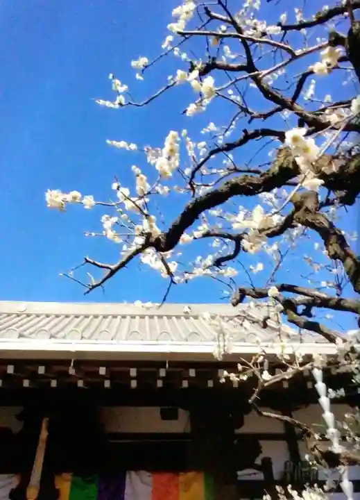 常性寺(東京都)