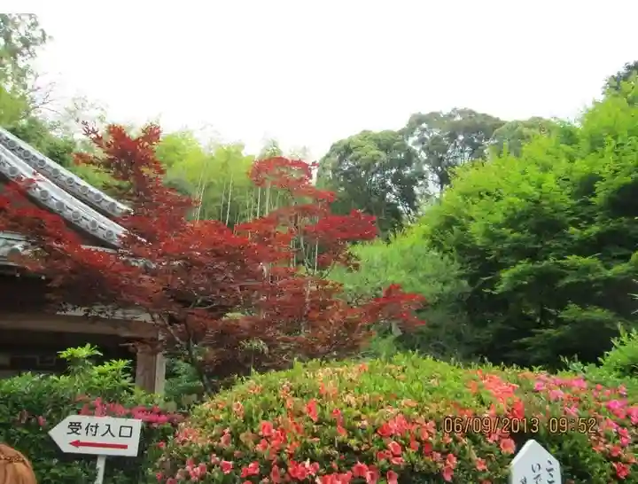 華厳寺(鈴虫寺)の自然