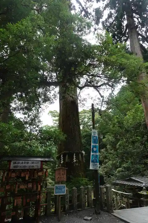 由岐神社(京都府)