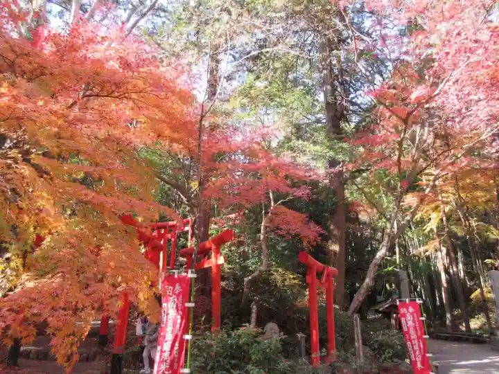 目の霊山 油山寺の鳥居