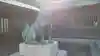 宗像大社の狛犬