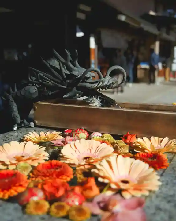 川越八幡宮(埼玉県)