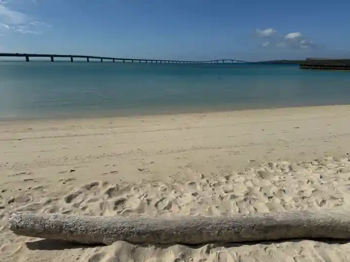 赤名宮の{uncategorized: "未分類", other: "その他", undefined: "問題あり", building: "その他建物", grave: "お墓", sacred_gate: "鳥居", guardian: "狛犬", statue: "像", buddha: "仏像", history: "歴史", nature: "自然", garden: "庭園", animal: "動物", pagoda: "塔", temizu: "手水舎", mountain_gate: "山門・神門", sanctuary: "本殿・本堂", subordinate: "末社・摂社", art: "芸術", scenery: "景色", jizo: "地蔵", ema: "絵馬", goshuin: "御朱印", omikuji: "おみくじ", items: "授与品その他", amulet: "お守り", goshuincho: "御朱印帳", eats: "食事", festival: "お祭り", votive_dance: "神楽", shichigosan: "七五三参", wedding: "結婚式", experience: "体験その他", initially: "初詣", around: "周辺", anti_infection: "感染症対策"}