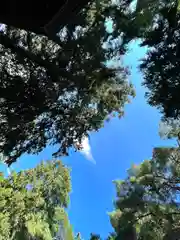 岩崎神社(長野県)