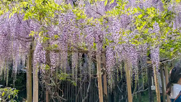 歌泉堂(春日大社神苑萬葉植物園内鎮座)(奈良県)