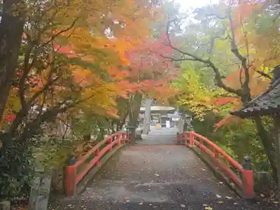 小椋神社(滋賀県)