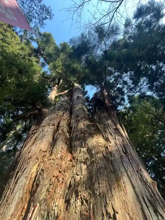 土津神社|こどもと出世の神さま(福島県)