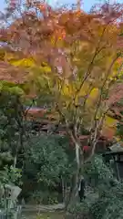 長楽寺(京都府)