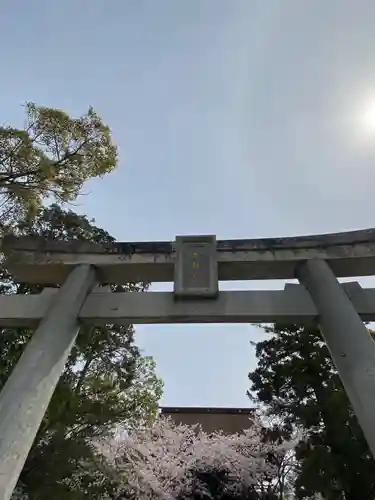 香椎宮の鳥居