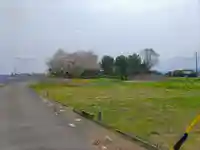 藤ヶ瀬神社の自然