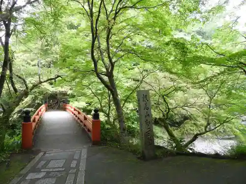 西明寺(京都府)