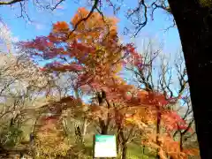 筑波山神社 女体山御本殿の自然