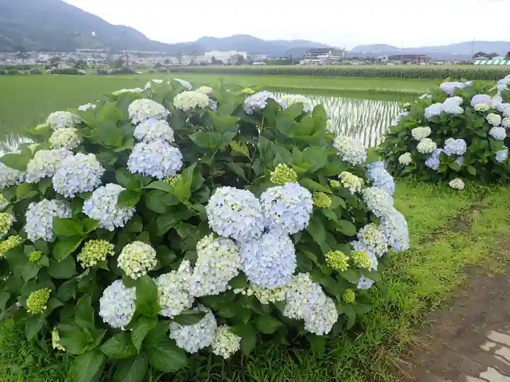 最乗寺(道了尊)(神奈川県)