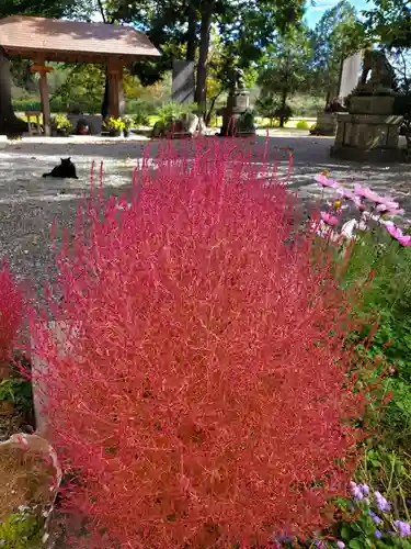 高司神社〜むすびの神の鎮まる社〜(福島県)