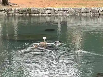 相国寺（相国承天禅寺）(京都府)