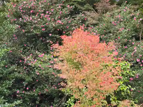 霊鑑寺門跡(京都府)