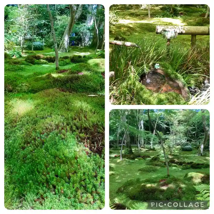 祇王寺(京都府)