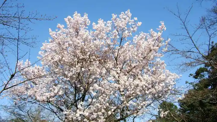 金刀比羅宮(香川県)