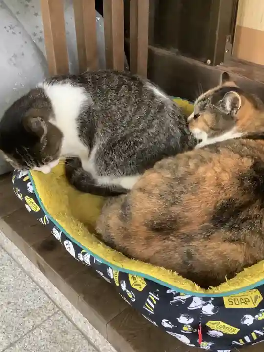 玉野御嶽神社の動物