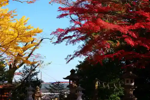 日吉神社の景色