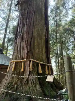 鷲子山上神社(栃木県)