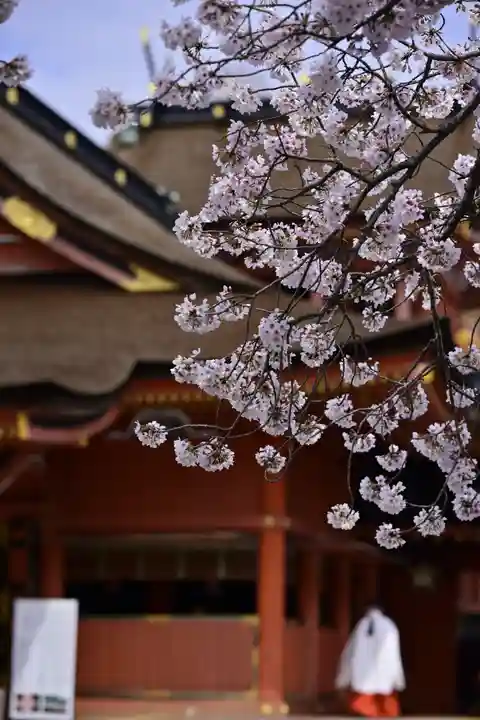 富士山本宮浅間大社(静岡県)