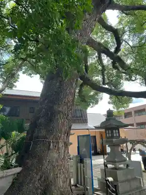 垂水神社(大阪府)