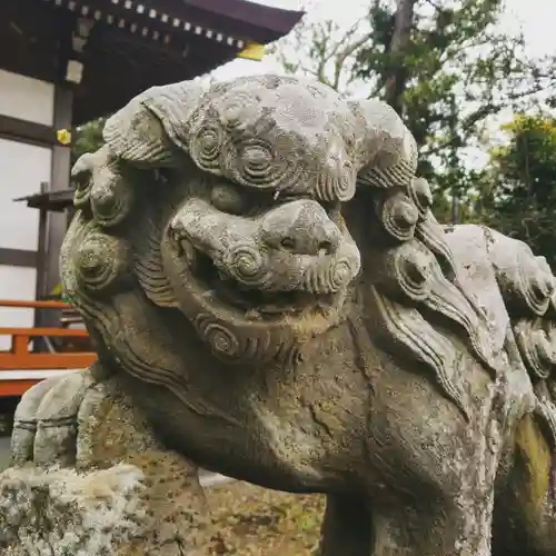 鹿嶋吉田神社の狛犬