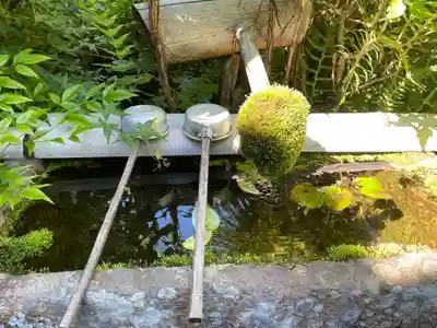 神藏寺(京都府)