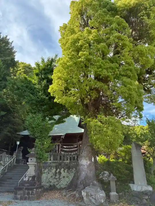 素鵞神社の{uncategorized: "未分類", other: "その他", undefined: "問題あり", building: "その他建物", grave: "お墓", sacred_gate: "鳥居", guardian: "狛犬", statue: "像", buddha: "仏像", history: "歴史", nature: "自然", garden: "庭園", animal: "動物", pagoda: "塔", temizu: "手水舎", mountain_gate: "山門・神門", sanctuary: "本殿・本堂", subordinate: "末社・摂社", art: "芸術", scenery: "景色", jizo: "地蔵", ema: "絵馬", goshuin: "御朱印", omikuji: "おみくじ", items: "授与品その他", amulet: "お守り", goshuincho: "御朱印帳", eats: "食事", festival: "お祭り", votive_dance: "神楽", shichigosan: "七五三参", wedding: "結婚式", experience: "体験その他", initially: "初詣", around: "周辺", anti_infection: "感染症対策"}