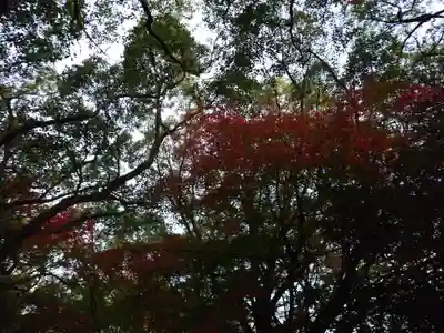 速谷神社(広島県)