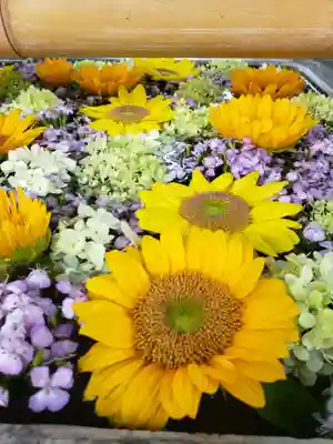 高円寺氷川神社の手水舎
