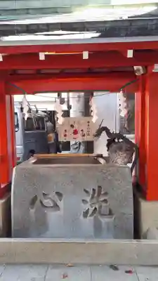 馬橋稲荷神社の手水舎